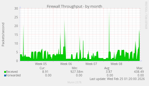 Firewall Throughput