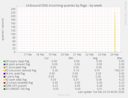 Unbound DNS incoming queries by flags