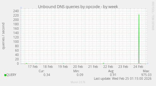 Unbound DNS queries by opcode